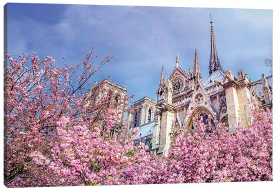 Notre-Dame Cathedral Pink Cherry Blossoms Canvas Art Print - Notre Dame Cathedral