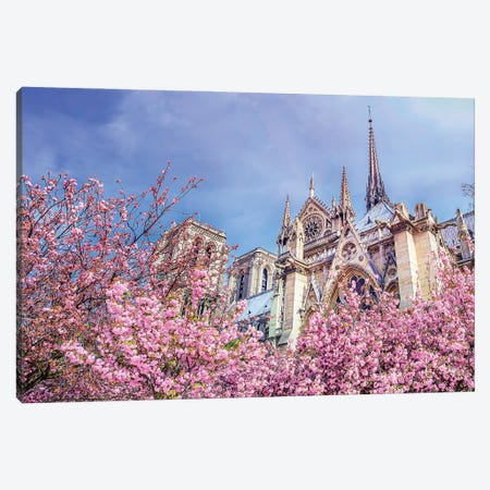 Notre-Dame Cathedral Pink Cherry Blossoms Canvas Print #RPM88} by Rose Palmisano Canvas Art Print