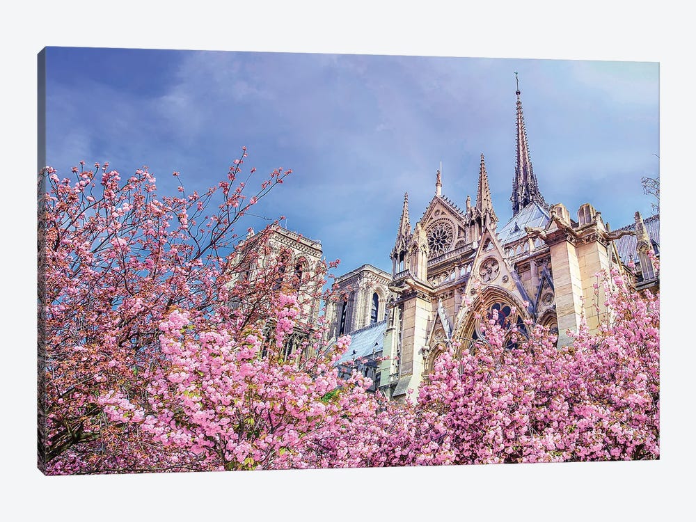 Notre-Dame Cathedral Pink Cherry Blossoms by Rose Palmisano 1-piece Canvas Artwork