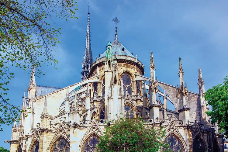 Cathedral Of Notre-Dame Paris by Rose Palmisano wall art