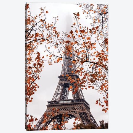 Autumn Leaves In Paris Canvas Print #RPM91} by Rose Palmisano Canvas Artwork