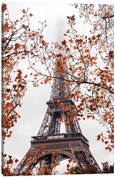 Autumn Leaves In Paris Canvas Art Print - Tower Art