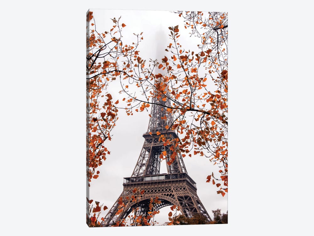 Autumn Leaves In Paris by Rose Palmisano 1-piece Canvas Artwork