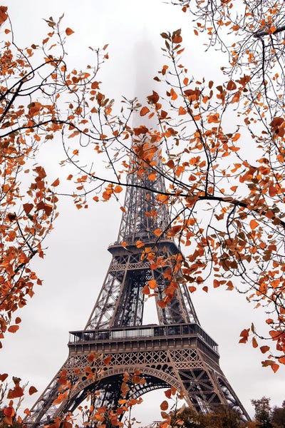 Towers: Autumn Leaves In Paris by Rose Palmisano