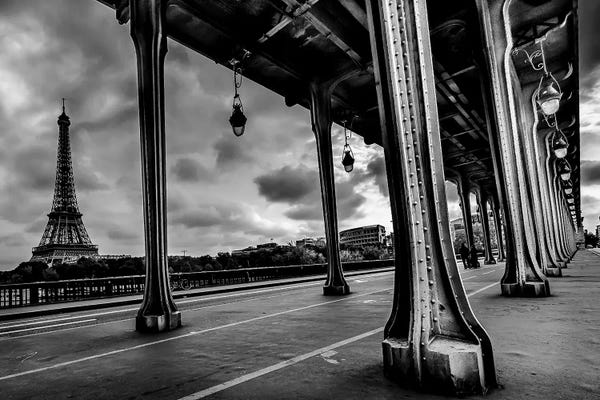 Rose Palmisano: Pont de Bir-Hakeim by Rose Palmisano