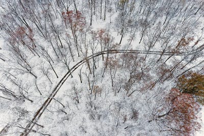 Aerial Of Forest And Road After Snowfall, Marion County, Illinois. (Editorial Use Only) by Richard & Susan Day canvas print