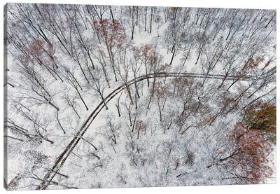 Aerial Of Forest And Road After Snowfall, Marion County, Illinois. (Editorial Use Only) Canvas Art Print
