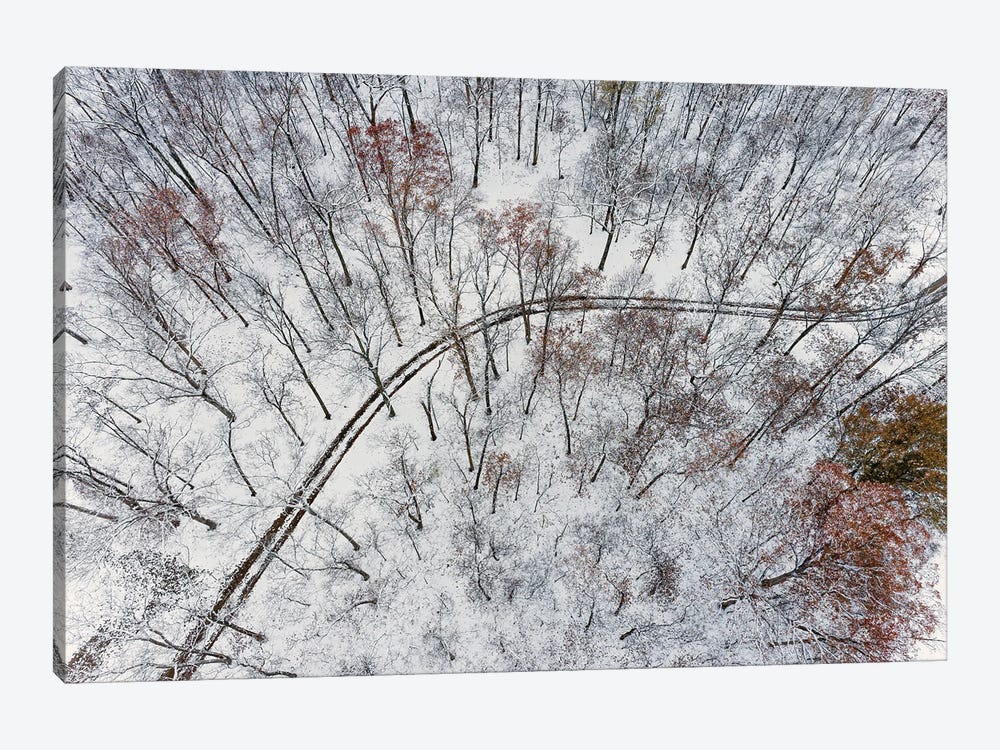 Aerial Of Forest And Road After Snowfall, Marion County, Illinois. (Editorial Use Only) by Richard & Susan Day 1-piece Canvas Wall Art