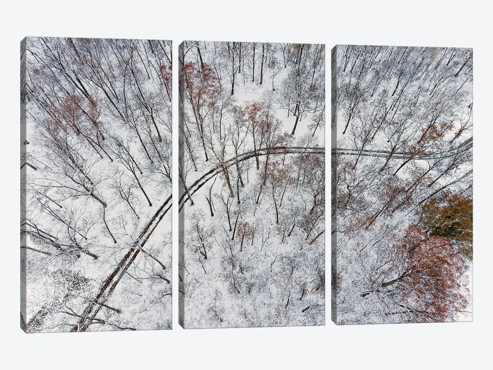 Aerial Of Forest And Road After Snowfall, Marion County, Illinois. (Editorial Use Only) by Richard & Susan Day 3-piece Canvas Artwork