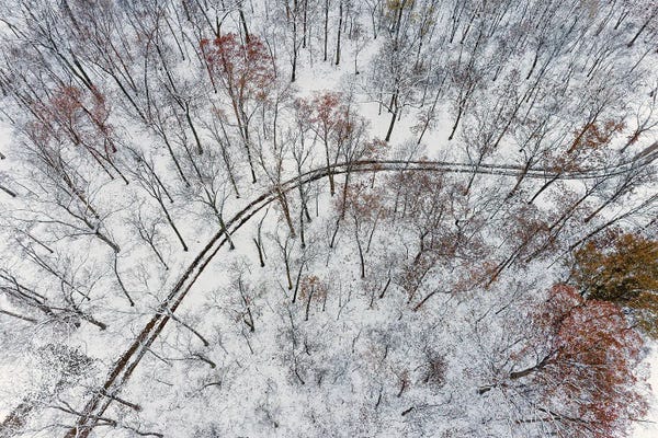 Richard & Susan Day: Aerial Of Forest And Road After Snowfall, Marion County, Illinois. (Editorial Use Only) by Richard & Susan Day