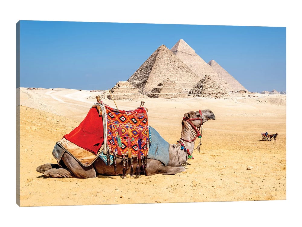 Framed Canvas Art (Gold Floating Frame) - Camel Resting by The Pyramids, Giza, Egypt by Richard Silver ( Architecture > Pyramids > The Great Pyramids
