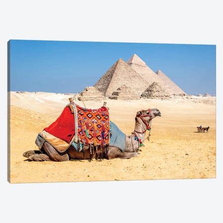 Camel Resting by the Pyramids, Giza, Egypt Canvas Print #RSI1} by Richard Silver Canvas Art Print