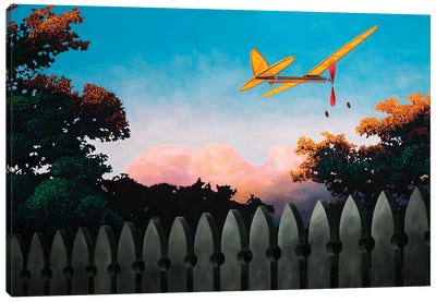 Final Flight Canvas Art Print - Ross Jones