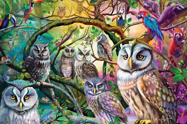 Parrots: Tropical Owls by Rose Khan