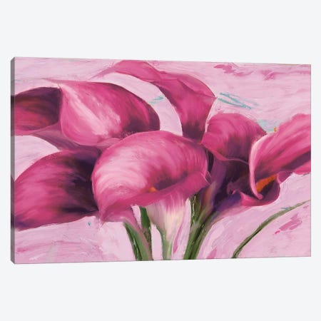 Purple Callas Canvas Print #RSL1} by Robin Sadler Canvas Art