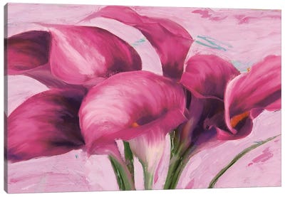 Purple Callas Canvas Art Print