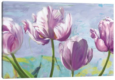 Lilac Tulips Canvas Art Print