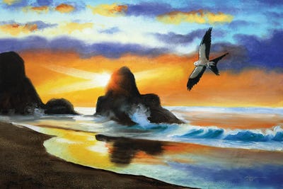 Swallow-Tailed Kite by D. "Rusty" Rust framed canvas print