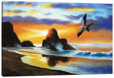 Swallow-Tailed Kite Canvas Art Print