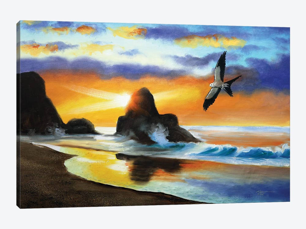 Swallow-Tailed Kite by D. "Rusty" Rust 1-piece Canvas Wall Art