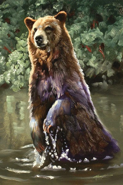 Bear Taking A Dip by D. "Rusty" Rust canvas print