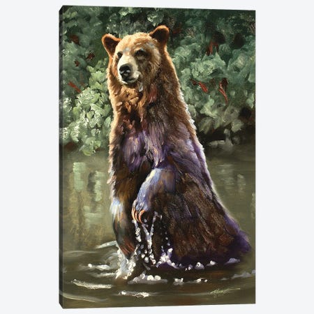 Bear Taking A Dip Canvas Print #RSR11} by D. "Rusty" Rust Canvas Print