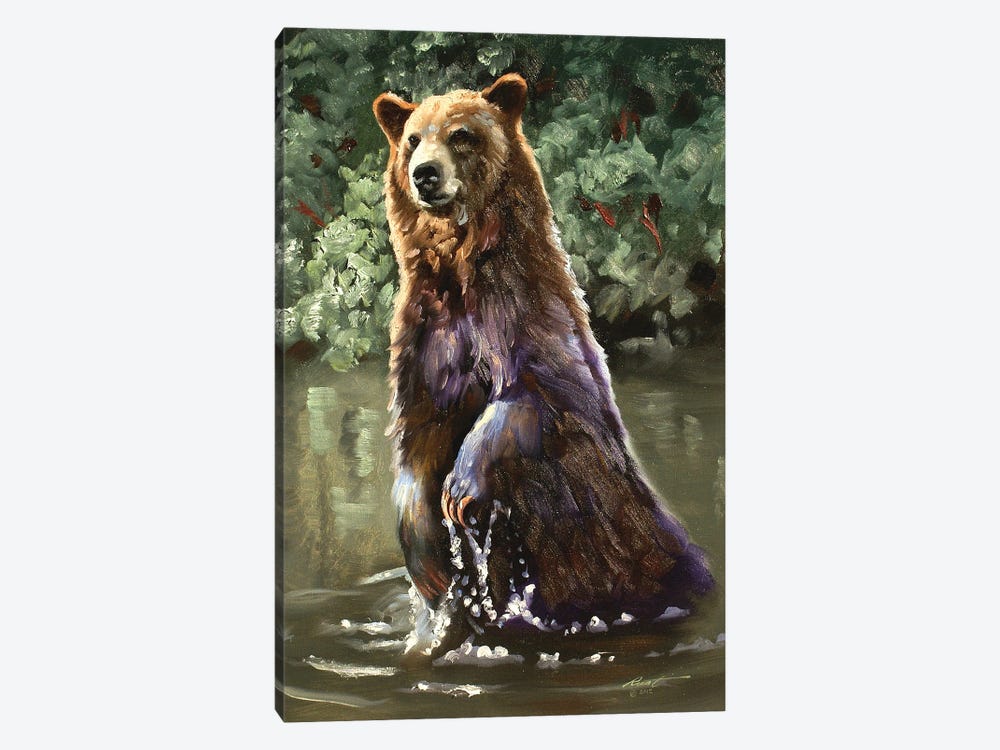 Bear Taking A Dip by D. "Rusty" Rust 1-piece Canvas Art Print