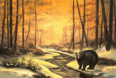 Black Bear At Dawn by D. "Rusty" Rust art print