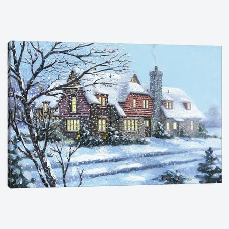 House With Wintry Mix Canvas Print #RSR122} by D. "Rusty" Rust Canvas Artwork