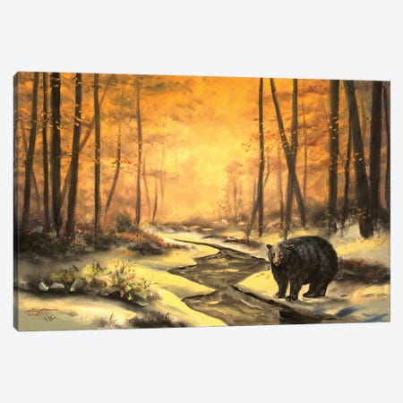 Black Bear At Dawn Canvas Print #RSR12} by D. "Rusty" Rust Art Print