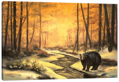Black Bear At Dawn Canvas Art Print - Black Bear Art