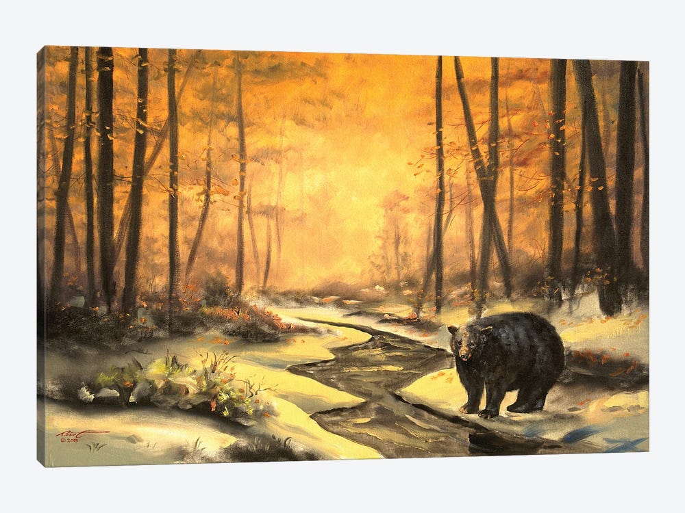 Black Bear At Dawn by D. "Rusty" Rust 1-piece Canvas Art
