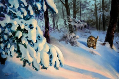 Bobcat In Snow by D. "Rusty" Rust art print