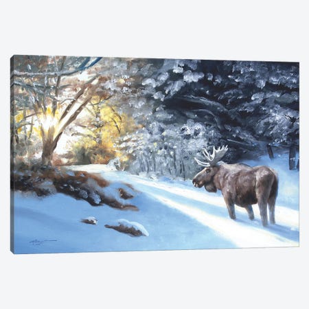 Bobcat In Snow Canvas Wall Art by D. 