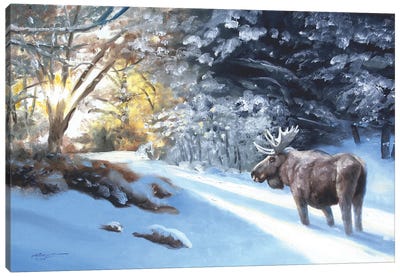 Moose In The Snow Canvas Art Print - Moose Art
