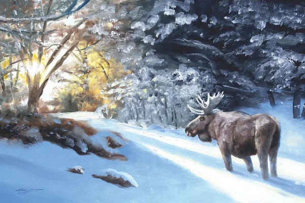 Moose: Moose In The Snow by D. "Rusty" Rust