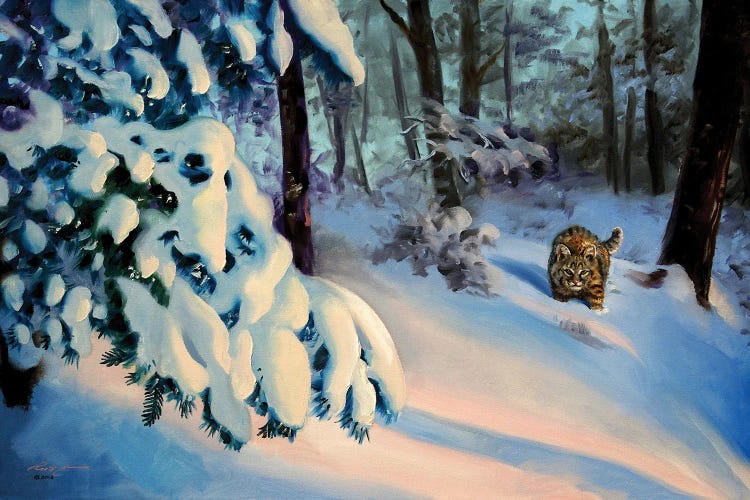 Bobcat In Snow
