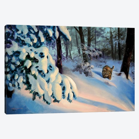 Bobcat In Snow Canvas Print #RSR13} by D. "Rusty" Rust Canvas Art Print