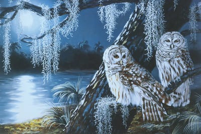 Two Barred Owls by D. "Rusty" Rust art print