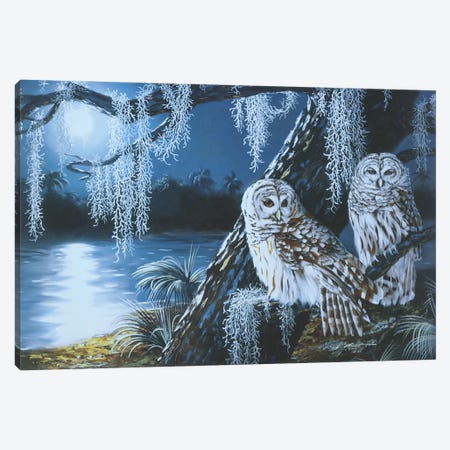Two Barred Owls Canvas Print #RSR153} by D. "Rusty" Rust Art Print