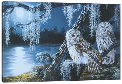 Two Barred Owls Canvas Art Print - D. "Rusty" Rust