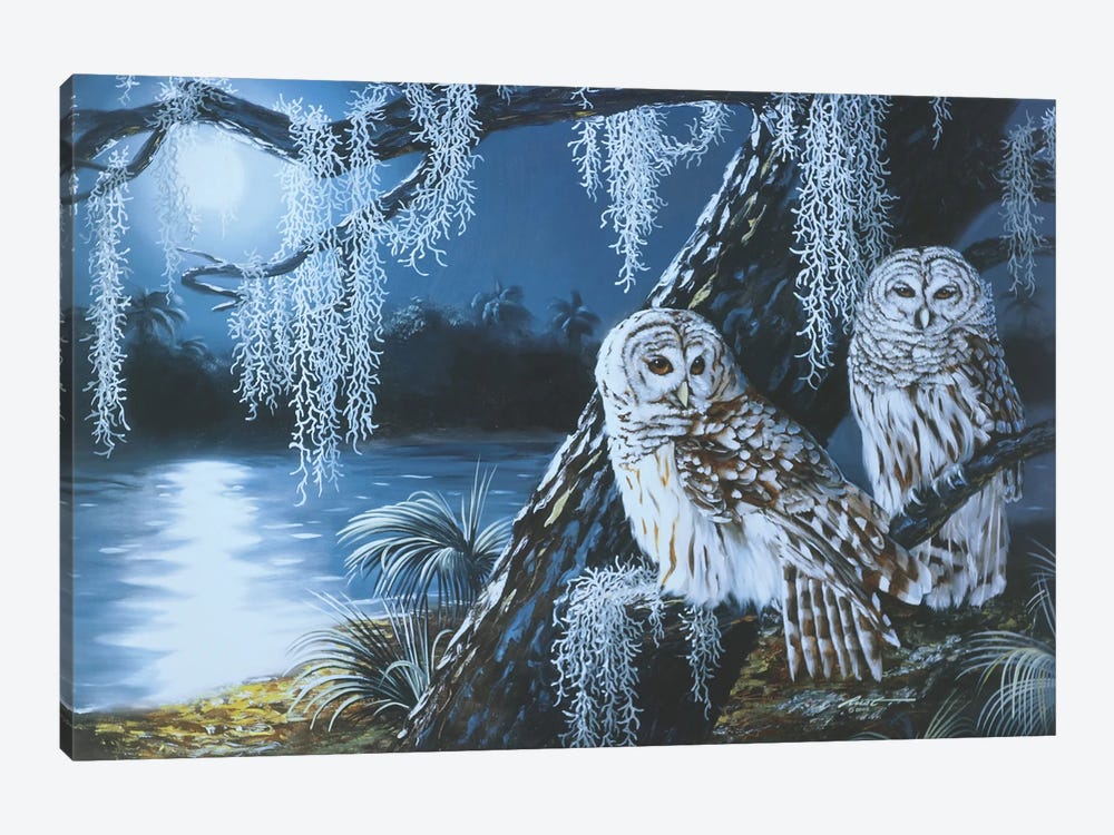 Two Barred Owls by D. "Rusty" Rust 1-piece Canvas Art