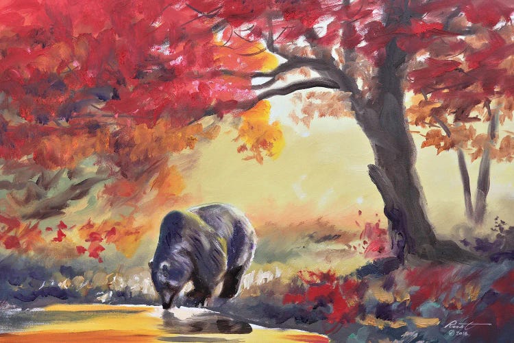 Black Bear In Fall Color