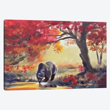 Black Bear In Fall Color Canvas Print #RSR15} by D. "Rusty" Rust Canvas Wall Art