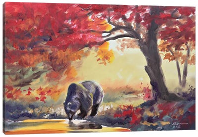 Black Bear In Fall Color Canvas Art Print - Brown Bear Art