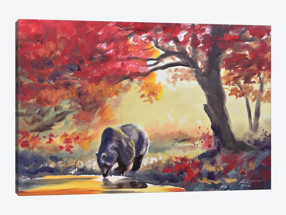 Black Bear In Fall Color by D. "Rusty" Rust 1-piece Art Print