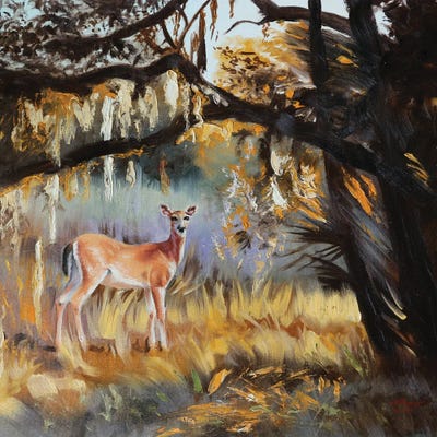 Whitetail Deer by D. "Rusty" Rust art print