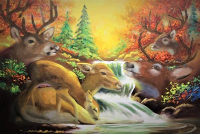 Oh, Deer! by D. "Rusty" Rust canvas print