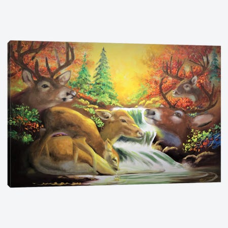 Oh, Deer! Canvas Print #RSR165} by D. "Rusty" Rust Canvas Art Print