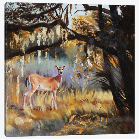 Whitetail Deer Canvas Print #RSR16} by D. "Rusty" Rust Canvas Wall Art